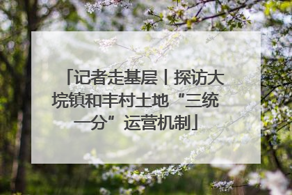 记者走基层丨探访大垸镇和丰村土地“三统一分”运营机制