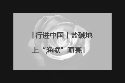 行进中国丨盐碱地上“渔歌”嘹亮
