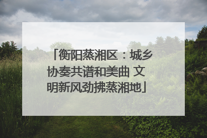 衡阳蒸湘区：城乡协奏共谱和美曲 文明新风劲拂蒸湘地