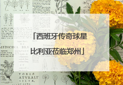 西班牙传奇球星 比利亚莅临郑州