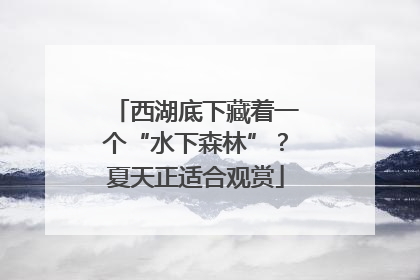 西湖底下藏着一个“水下森林”？夏天正适合观赏