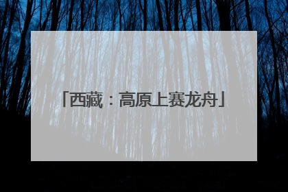 西藏：高原上赛龙舟