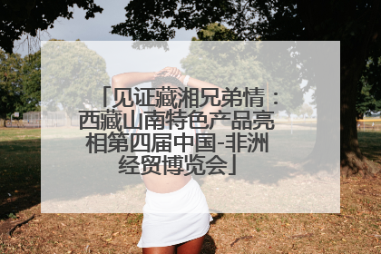 见证藏湘兄弟情：西藏山南特色产品亮相第四届中国-非洲经贸博览会