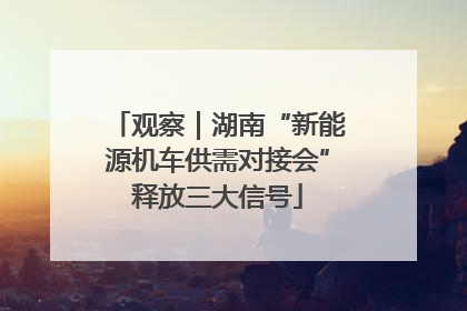 观察｜湖南“新能源机车供需对接会”释放三大信号