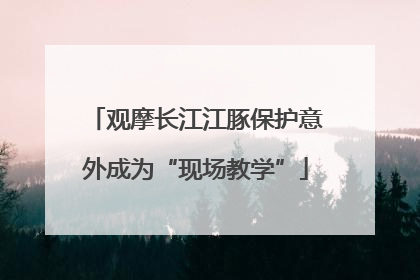 观摩长江江豚保护意外成为“现场教学”
