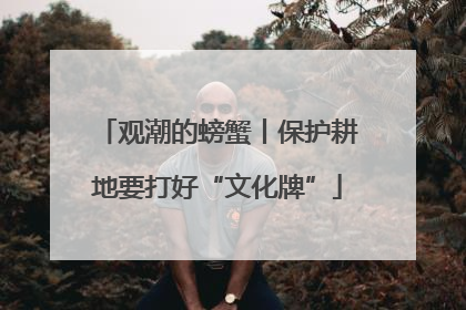 观潮的螃蟹丨保护耕地要打好“文化牌”