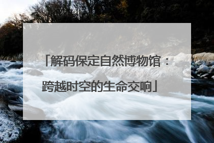 解码保定自然博物馆：跨越时空的生命交响