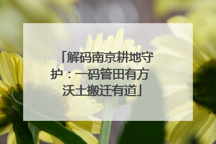 解码南京耕地守护：一码管田有方 沃土搬迁有道