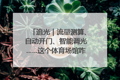 追光｜流量测算、自动开门、智能调光……这个体育场馆咋这么先进？