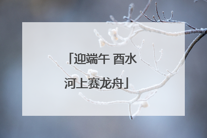 迎端午 酉水河上赛龙舟