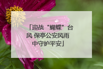 迎战“蝴蝶”台风 保亭公安风雨中守护平安