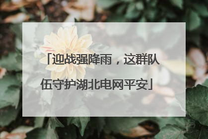 迎战强降雨，这群队伍守护湖北电网平安