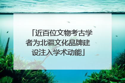 近百位文物考古学者为北疆文化品牌建设注入学术动能