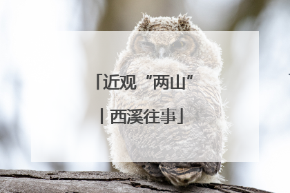 近观“两山”丨西溪往事