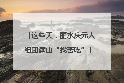 这些天，丽水庆元人组团满山“找苦吃”