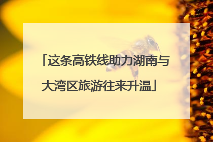 这条高铁线助力湖南与大湾区旅游往来升温