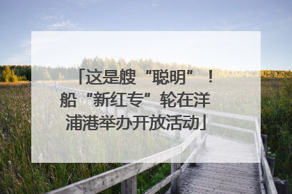 这是艘“聪明”！船“新红专”轮在洋浦港举办开放活动