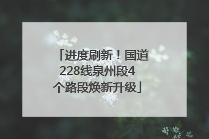 进度刷新！国道228线泉州段4个路段焕新升级