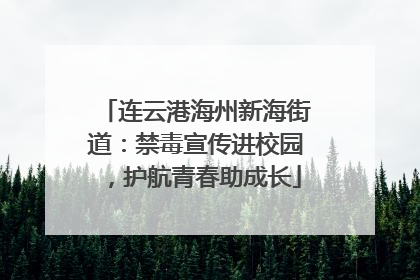 连云港海州新海街道：禁毒宣传进校园，护航青春助成长