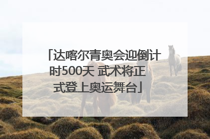 达喀尔青奥会迎倒计时500天 武术将正式登上奥运舞台