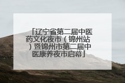 辽宁省第二届中医药文化夜市（锦州站）暨锦州市第二届中医康养夜市启幕