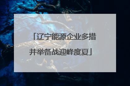 辽宁能源企业多措并举备战迎峰度夏