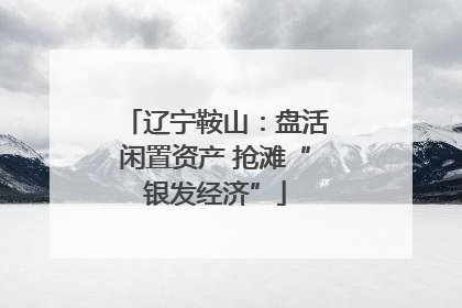 辽宁鞍山：盘活闲置资产 抢滩“银发经济”