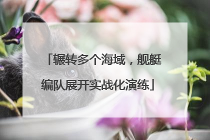 辗转多个海域，舰艇编队展开实战化演练