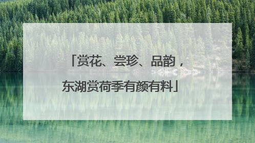赏花、尝珍、品韵，东湖赏荷季有颜有料