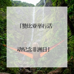 赞比亚举行活动纪念非洲日