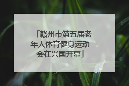赣州市第五届老年人体育健身运动会在兴国开幕