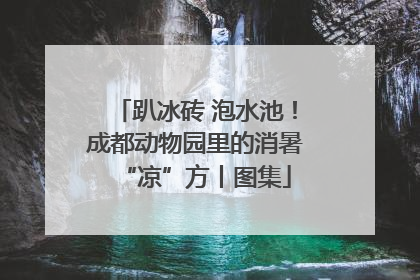 趴冰砖 泡水池！成都动物园里的消暑“凉”方丨图集