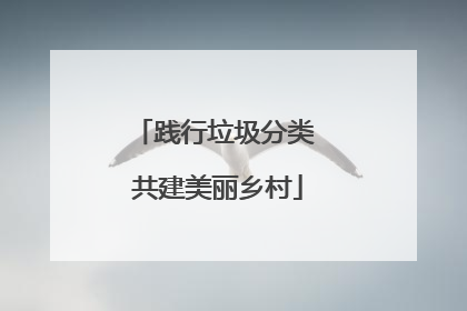 践行垃圾分类 共建美丽乡村