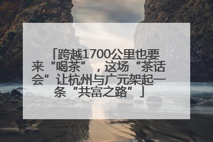 跨越1700公里也要来“喝茶”，这场“茶话会”让杭州与广元架起一条“共富之路”