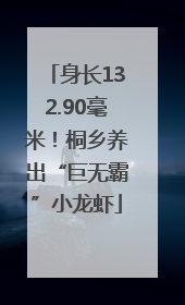 身长132.90毫米！桐乡养出“巨无霸”小龙虾