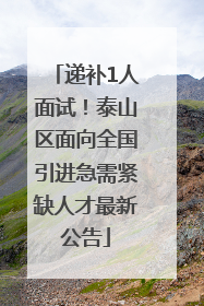 递补1人面试！泰山区面向全国引进急需紧缺人才最新公告
