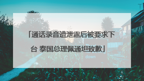 通话录音遭泄露后被要求下台 泰国总理佩通坦致歉