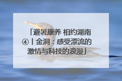 避暑康养 相约湖南④丨金洞：感受漂流的激情与科技的浪漫