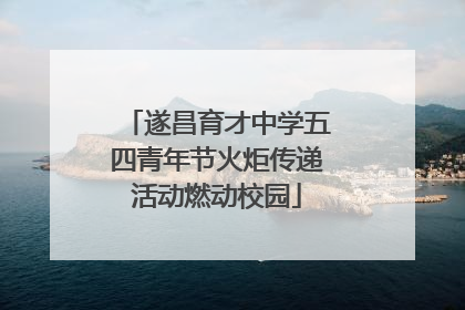 遂昌育才中学五四青年节火炬传递活动燃动校园
