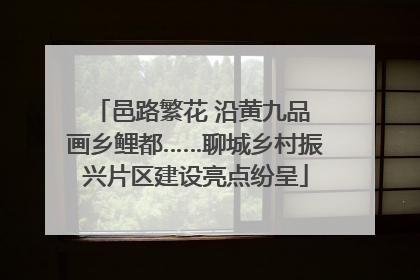 邑路繁花 沿黄九品 画乡鲤都……聊城乡村振兴片区建设亮点纷呈