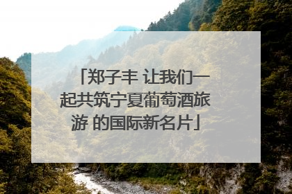 郑子丰 让我们一起共筑宁夏葡萄酒旅游 的国际新名片