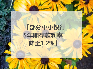 部分中小银行5年期存款利率降至1.2%