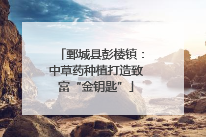 鄄城县彭楼镇：中草药种植打造致富“金钥匙”