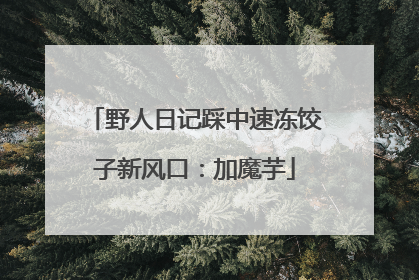 野人日记踩中速冻饺子新风口：加魔芋