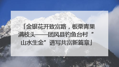 金银花开致富路，板栗青果满枝头——团风县钓鱼台村“山水生金”谱写共富新篇章