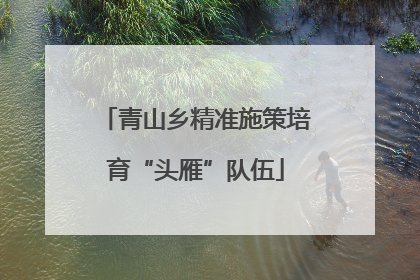 青山乡精准施策培育“头雁”队伍