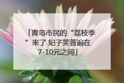 青岛市民的“荔枝季”来了 妃子笑普遍在7-10元之间