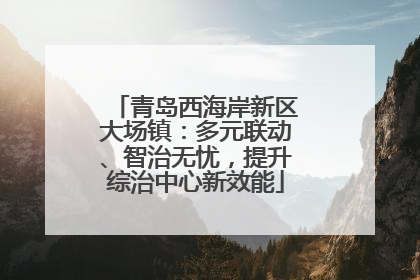 青岛西海岸新区大场镇：多元联动、智治无忧，提升综治中心新效能