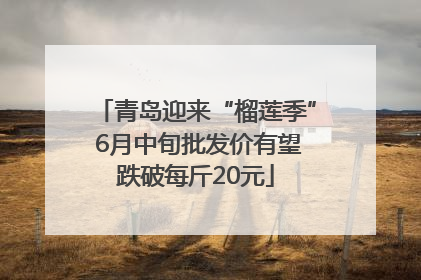 青岛迎来“榴莲季” 6月中旬批发价有望跌破每斤20元