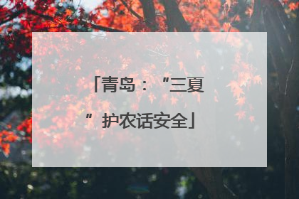 青岛：“三夏”护农话安全